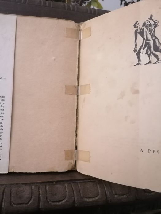A Peste de Albert Camus