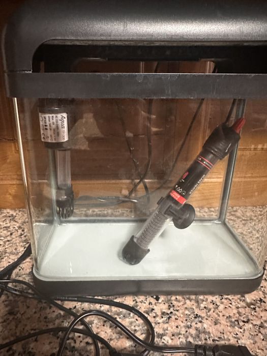 Aquário peixes com luz