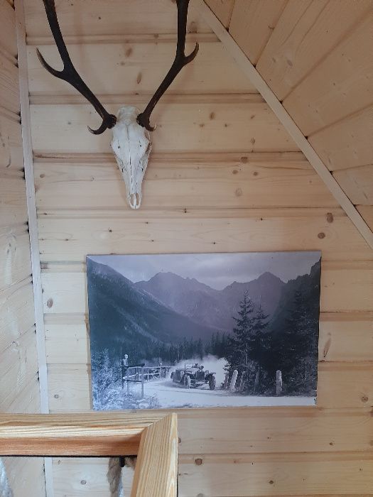 Domek do wynajecia Zakopane Kościelisko