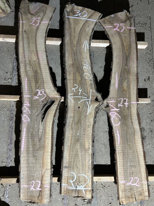 Orzech włoski monolit/foszty/dechy