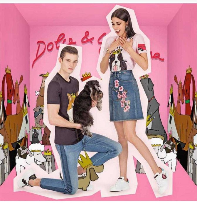 Dog print : світшот  Dolce Gabbana