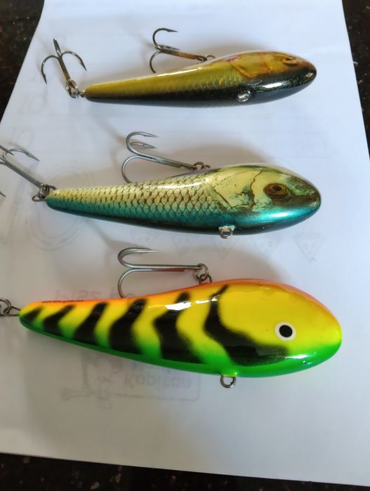 Salmo Chubby  piekne