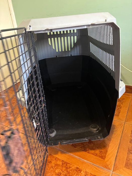 Transportadora para cão