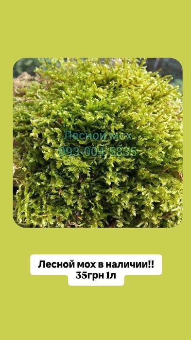 кокосовый грунт/субстрат для улиток,рептилий,растений