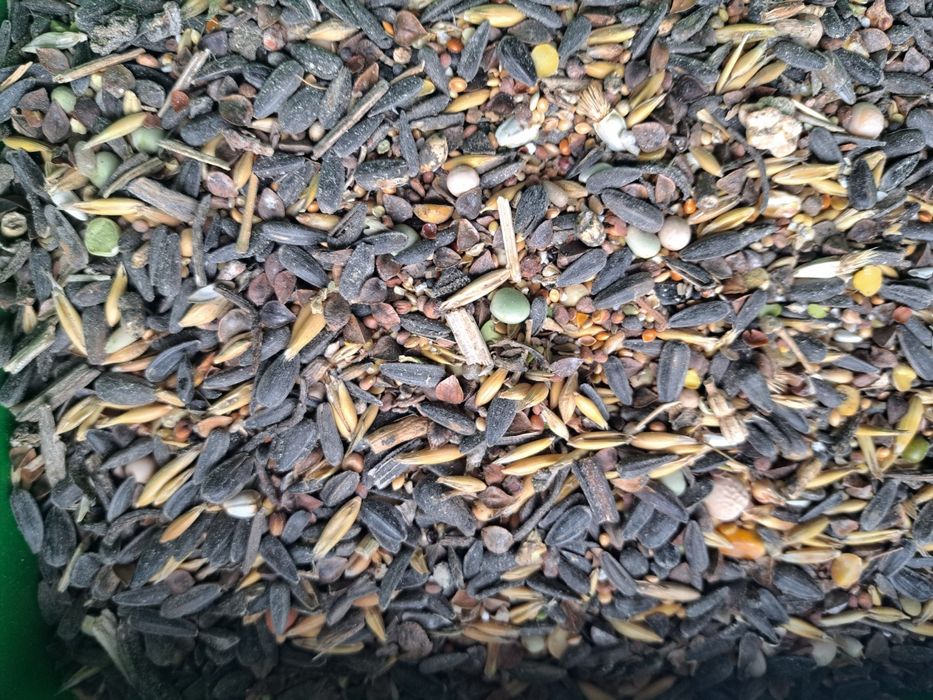 karma zima 2 zł/kg ,50zł za 25 kg ptaki dzikie wróbel, sikorka ,bażant