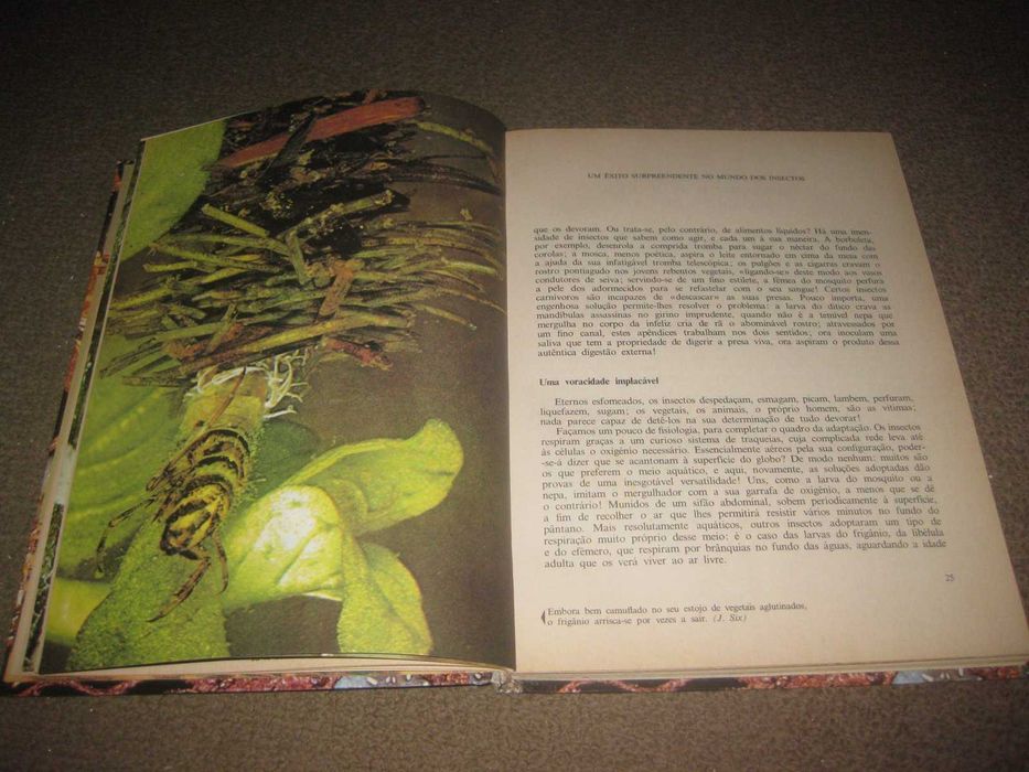 Livro "Os Grandes Enigmas do Mundo Animal: Insectos"