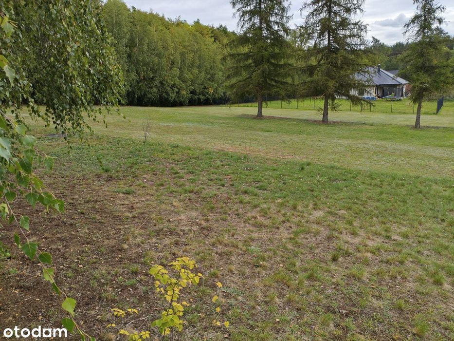 Działka budowlana 4000 m² w spokojnej okolicy