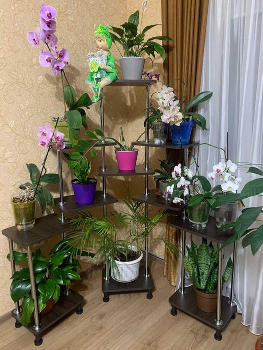 полка для цветов