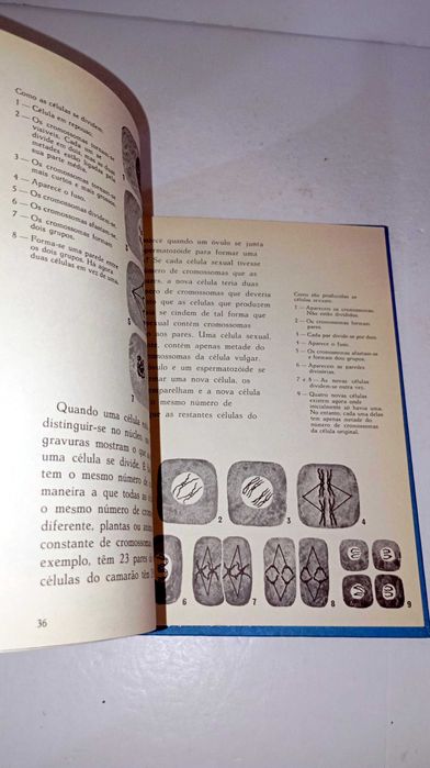 O Mundo dos Seres Vivos - Vamos Aprender