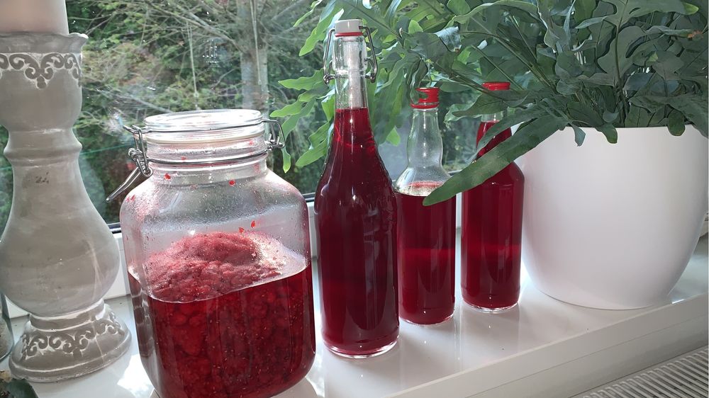 Pieniny Biały Domek Krościenko nad Dunajcem.