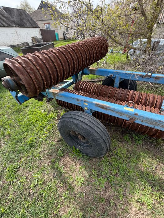 Коток зубчато кільчатий