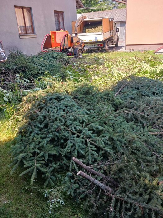 Wycinka drzew Usługi mielenie gałęzi Usługi Ogrodnicze