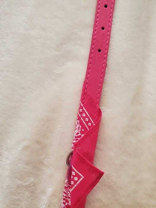 Coleira de cão cor de rosa