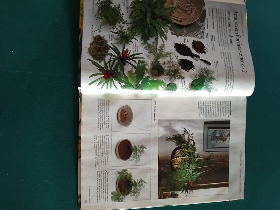 O Jardim Em Casa