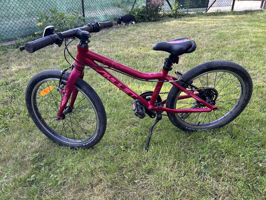 Rower Amulet Tomcat 20”