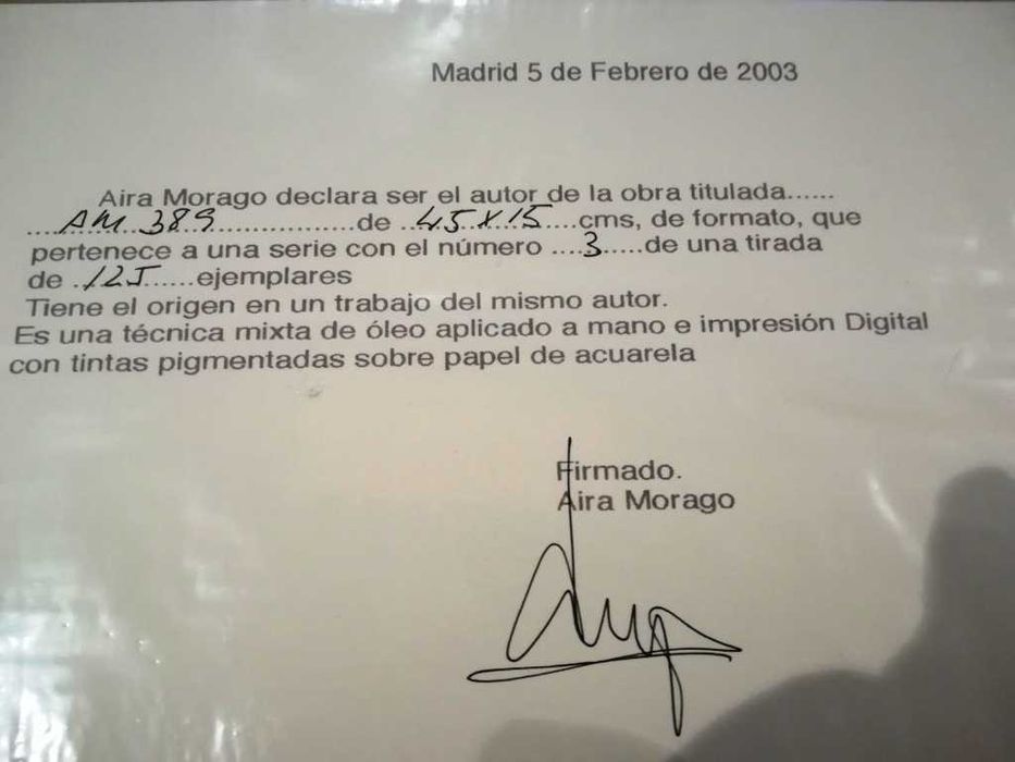AIRA MORAGO - técnica mista