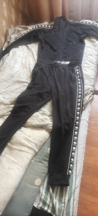 Dres Pit Bull r L