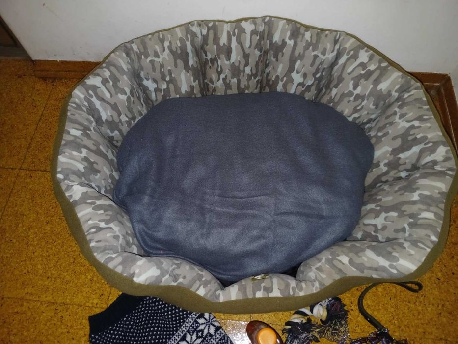 Lindo conjunto para cão de porte médio