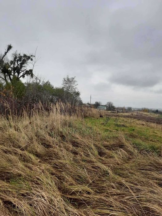 Димер, 1 га, для промисловості. Фасад