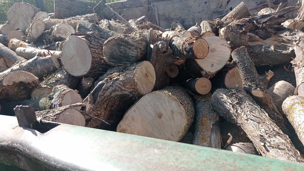 Дрова пиляні /не пиляні твердих порід,від 5 М³