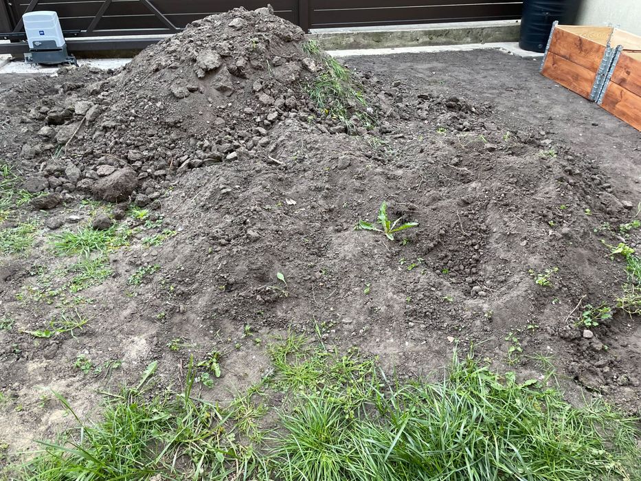 Oddam ziemię za darmo