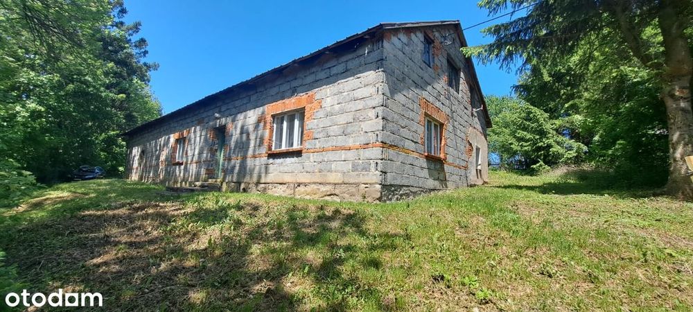 Siedlisko do remontu w świetnej lokalizacji, k.Czarna Góra i Zieleniec - Widok 3