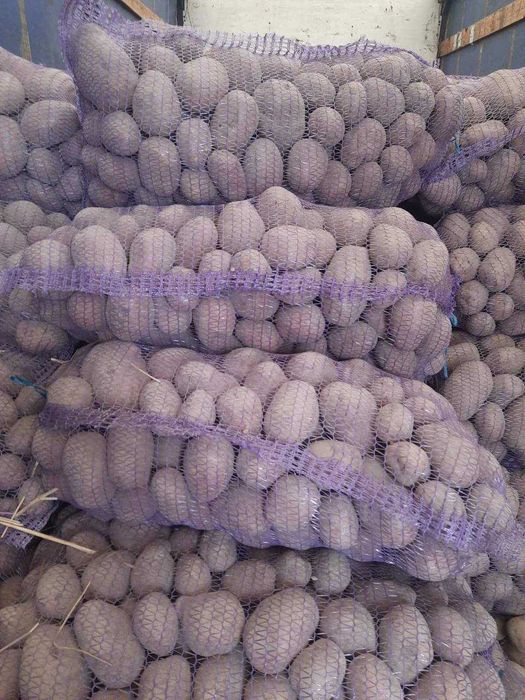 Домащняя картопля з Чернигова бесплатная доставка по городу!