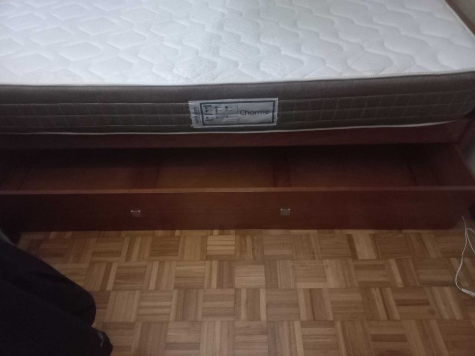 Estudio completo