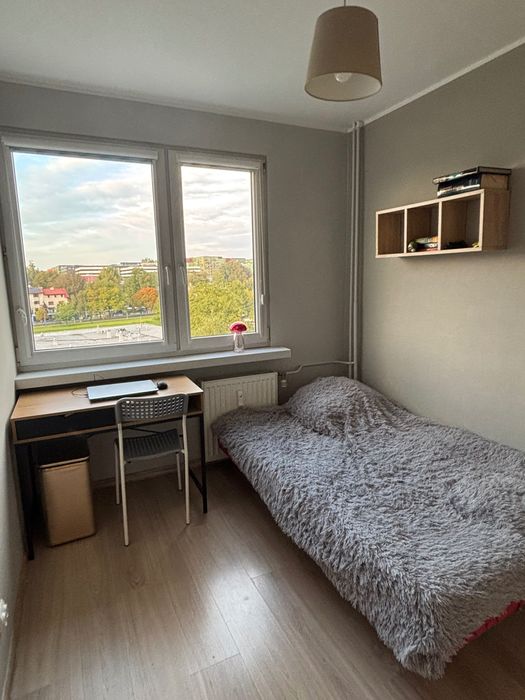 Pokój jednoosobowy na wynajem