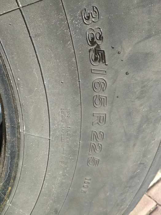 Opona Opony 385/65R22,5 Semperit Budowlana TRAILER