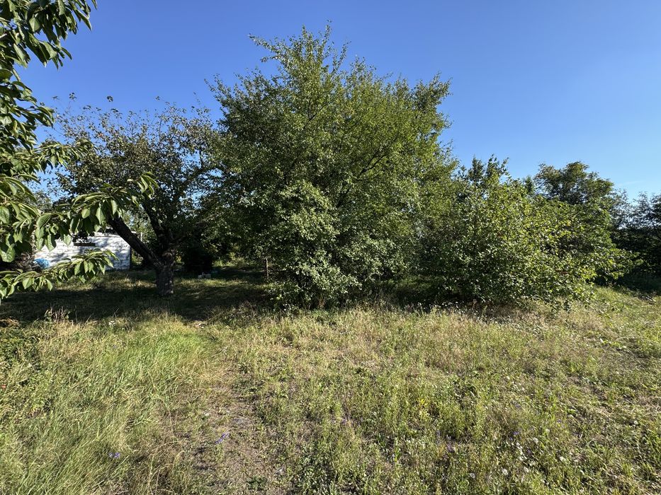 Продам будинок + земля/ присадиба/Гребінки