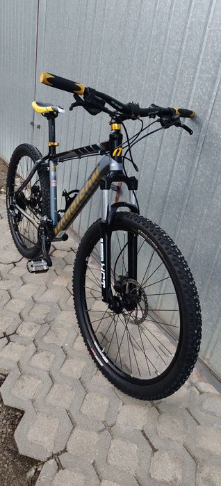 Rower Morison super stan