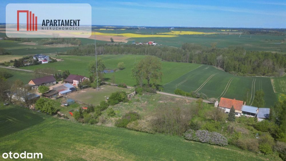 Nowa cena dla inwestora, gmina Gniew