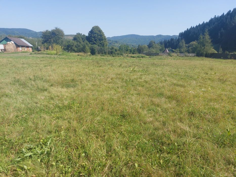 Продається земельна ділянка у с. Рибник