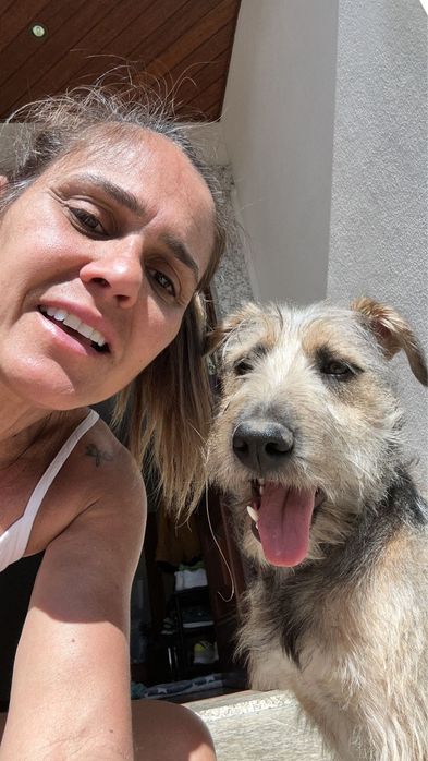 Serviços de petsitting
