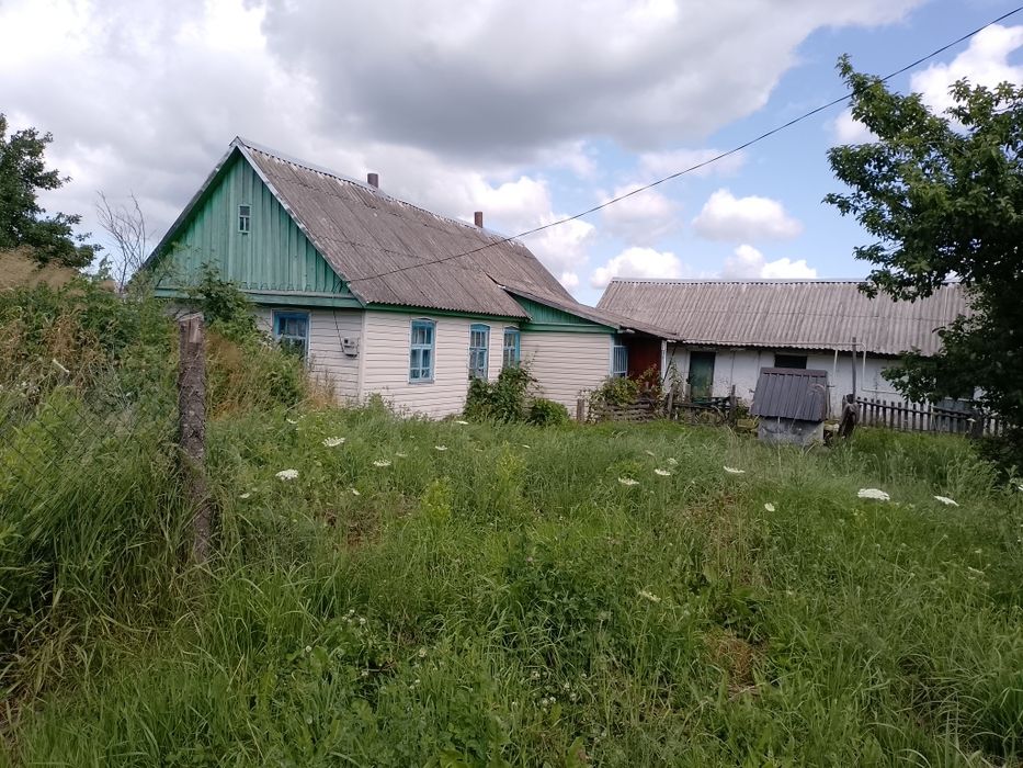 Продається дім в селі
