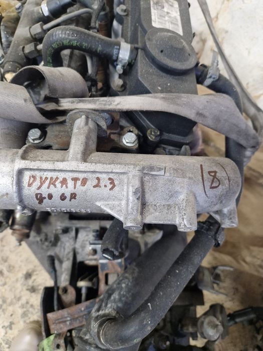 Мотор Fiat Ducato 2.3 JTD двигун.  фіат дукато.  двигатель КПП