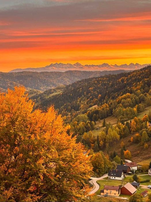 Domek z kominkiem w górach widok na Tatry ferie jacuzzi balia wczasy cisza, Gorce, owce