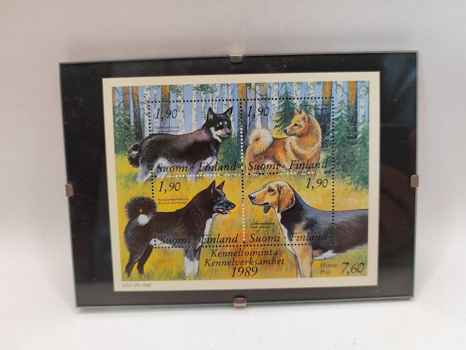 Znaczki pocztowe fińskie w ramie psy pies filatelistyka