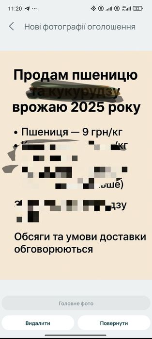 Пшениця, кормова на годівлю