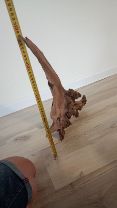 Japoński korzeń akwariowy