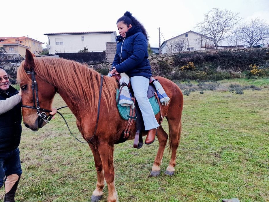 Cavalo Alazão Muito Manso (9 Anos)