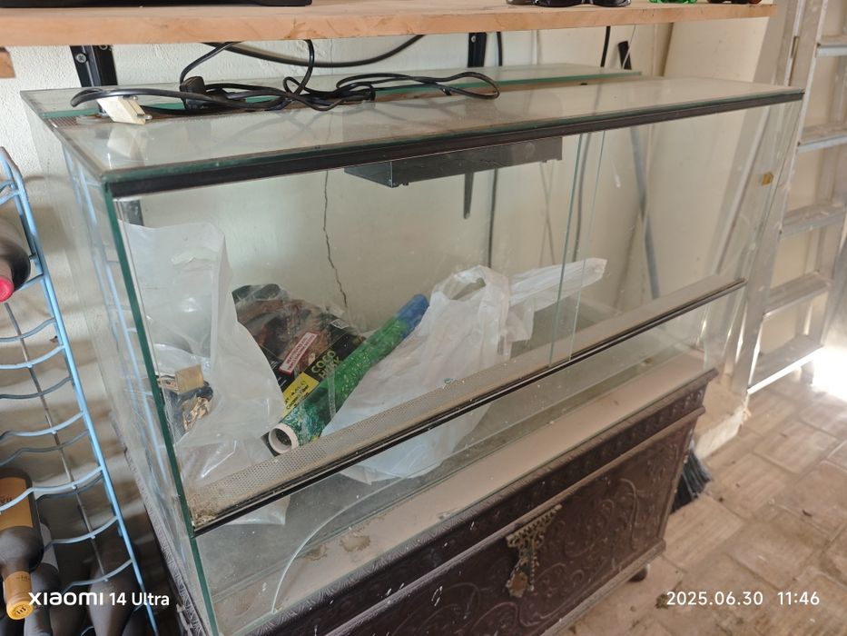 Terrario para repteis