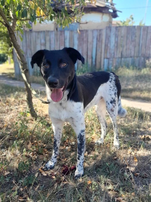 В класну родину!