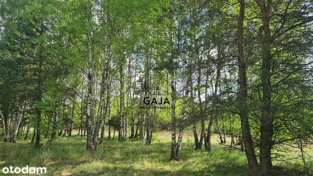 Piękna działka budowlana / 1000 m² / WZ