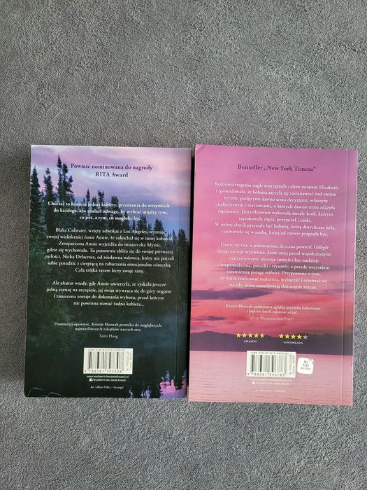 Kristin Hannah  - Odległe brzegi, Zdarzyło się nad jeziorem  Mystic