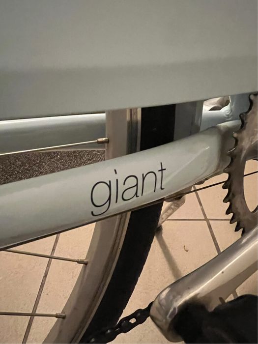Rower Giant Flourish