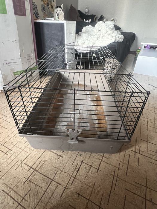 Велика Б/у клітка для гризунів (морських свинок, хорів, шиншил і тд)