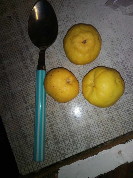 3*. Pestki pigwowca na nalewkę 317g