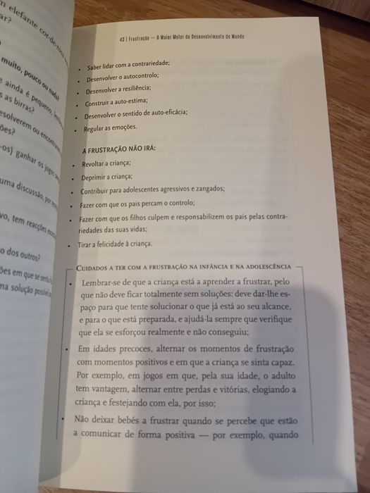 A Psicóloga dos miúdos - Guia prático para todos os pais